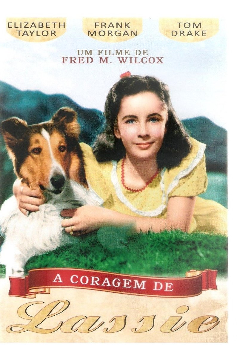 Dvd A Coragem De Lassie – Together