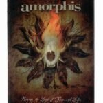 Box 2 Dvd's + 2 Cd's Amorphis - Forging The Land Of Thousand
