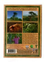 Dvd Regina Casé - 3 - Imagem 2