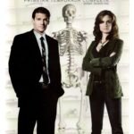 Box 6 Discos - Bones - Temporada 1 Completa