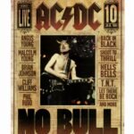 Dvd Ac Dc No Bull