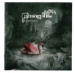 Cd Amorphis - Silent Waters