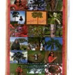 Dvd - Regina Casé - Um Pé De Quê? Vol 1