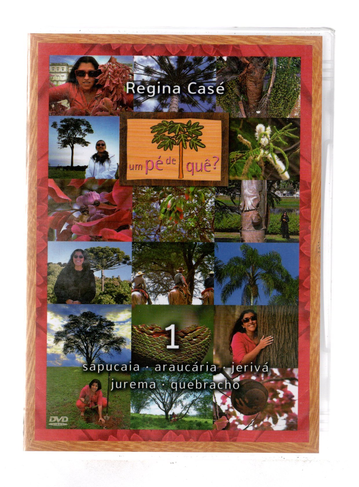 de5cfbe5a7034cca25009f4025992fd8.jpg Dvd - Regina Casé - Um Pé De Quê? Vol 1 - Imagem 1
