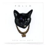 Cd Pollo - Sete Sete Sete 777