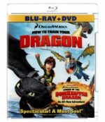 BLU-RAY + DVD HOW TO TRAIN YOUR DRAGON