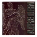 Cd Airborn I Wish - Long Island Records