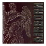 Cd Airborn I Wish - Long Island Records