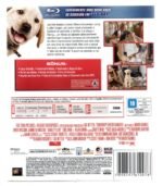 Blu Ray Marley E Eu - Owen Wilson - Imagem 2