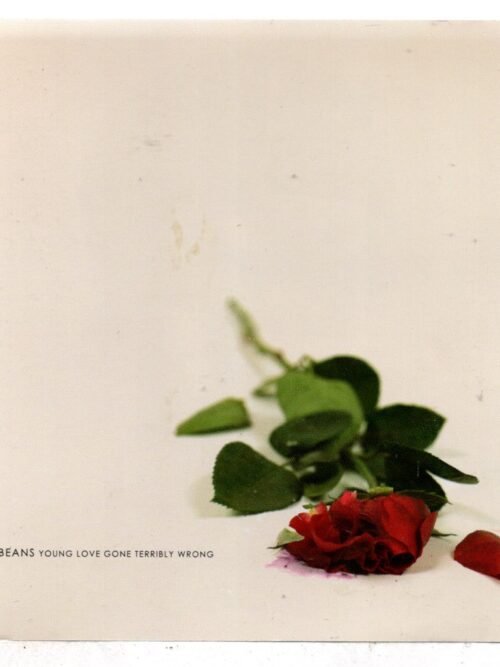 Cd The Beans - Young Love Gone Terribly Wrong
