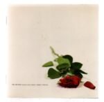 Cd The Beans - Young Love Gone Terribly Wrong - Imagem 3