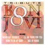 Cd Bon Jovi Tribute - Never Say Goodbye