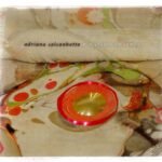 Cd Adriana Calcanhotto O Micróbio Do Samba -digipack