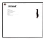 Cd The Beans - Young Love Gone Terribly Wrong - Imagem 2