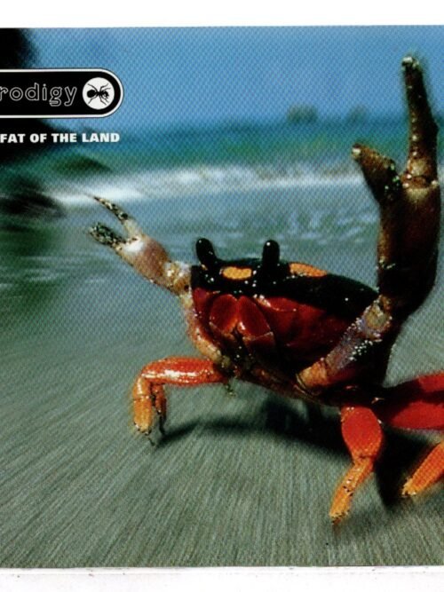 CD Prodigy The fat of the land