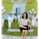 Dvd Amor Pra Cachorro