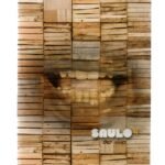 DVD SAULO - AO VIVO DIGIPACK