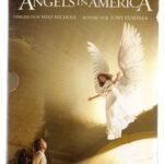 DVD Duplo - Angels in America