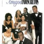 Dvd Amigos Indiscretos -taye Diggs/ Nia Long