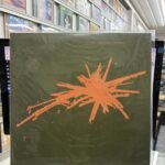 VINIL THE WEDDING PRESENT - BIZARRO