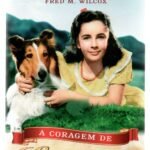 Dvd A Coragem De Lassie