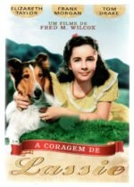 Dvd A Coragem De Lassie