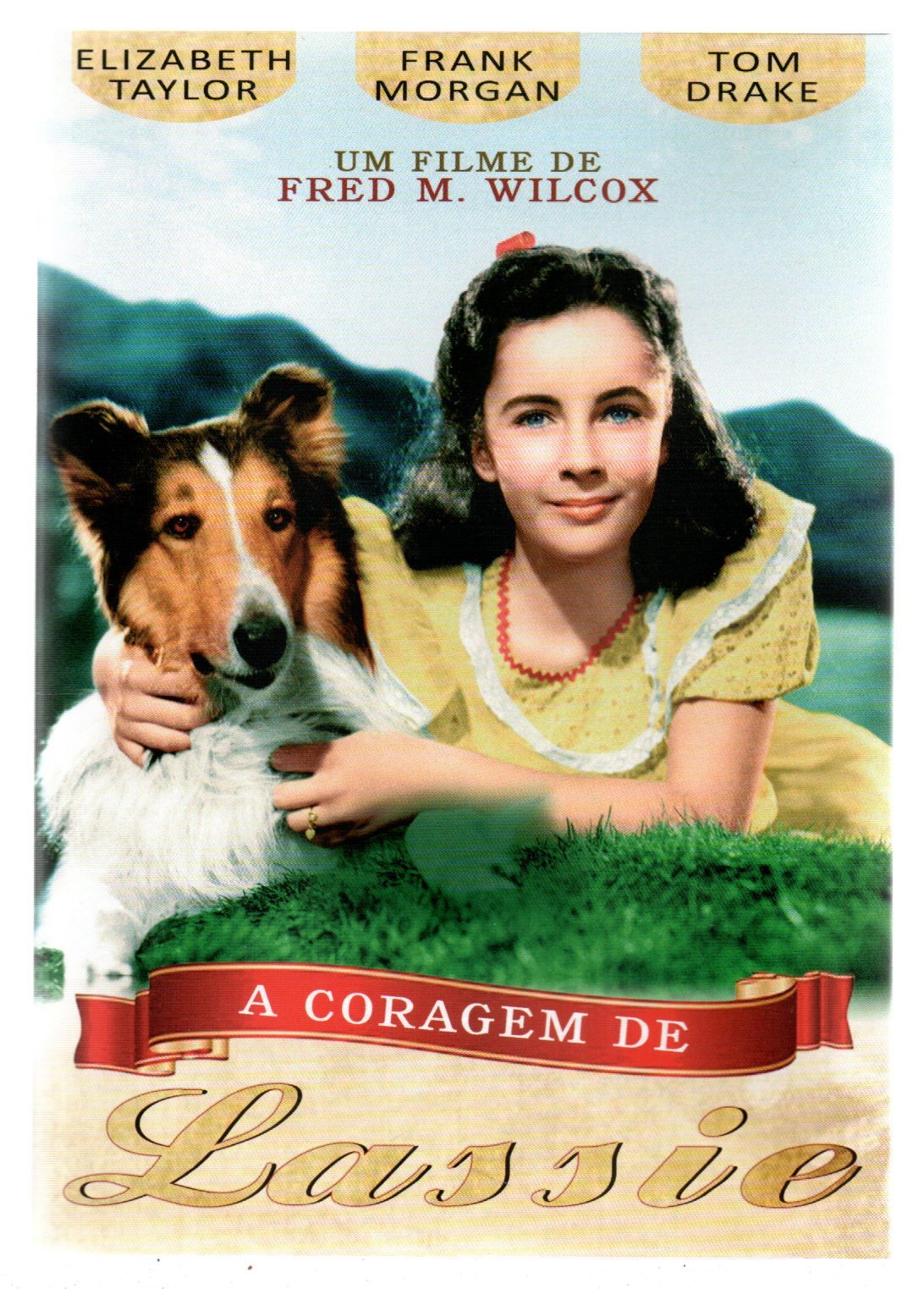 24cd995121727430e94d1602b82c036f.jpg Dvd A Coragem De Lassie - Imagem 1