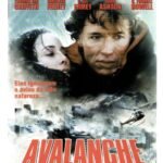 Dvd Avalanche