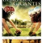 Dvd Desafiando Os Gigantes