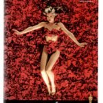 Dvd Beleza Americana