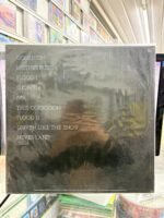 VINIL THE SISTERS OF MERCY: FLOODLAND - Imagem 2