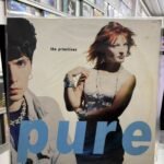VINIL THE PRIMITIVES - PURE