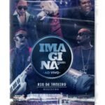 Dvd Imagina Samba - Ao Vivo / No Rio De Janeiro Registro