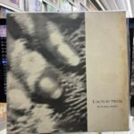 VINIL COCTEAU TWINS - BLUE BELL KNOLL