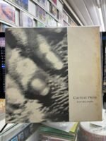 VINIL COCTEAU TWINS - BLUE BELL KNOLL