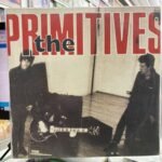 VINIL THE PRIMITIVES - LOVELY