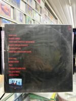 VINIL THE JESUS AND MARY CHAIN - Imagem 2