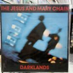 VINIL THE JESUS AND MARY CHAIN