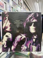 VINIL THE SISTERS OF MERCY: VISION THING - Imagem 2